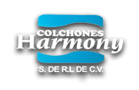 Logo5
